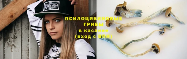 мескалин Арсеньев