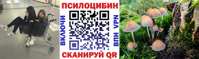 MEGA ТОР  Облучье  Галлюциногенные грибы мицелий  как найти  